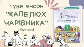 Туве Янсон "Капелюх Чарівника". Уривки. Зарубіжна література, 5 клас. Аудіокнига