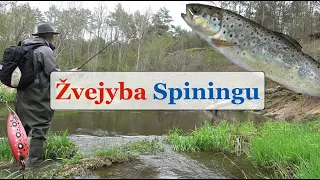 Žvejyba Spiningu - Gabrielius Ser