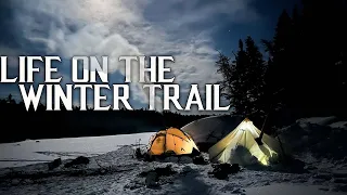 10 Days Winter Camping in the Northern Forest | Life on the Winter Trail E.1 - Husky Dog & Hot Tents