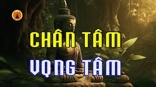 Lời Phật Dạy Về Chân Tâm và Vọng Tâm - Bảy Đoạn Phật Hỏi Về Tâm