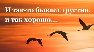 Михаил Пришвин. Осеннее утро | Рассказы для детей