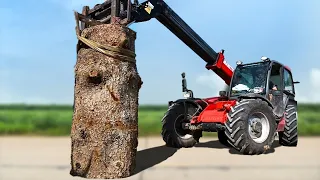 AMAZING CHAINSAW Wood Carving Bear Sculpture