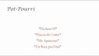 POT-POURRI SERTANEJO - Na Hora H; Passou da Conta; Me Apaixonei; Da Boca pra Fora