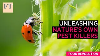 Fighting agricultural pests, the natural way | FT Food Revolution