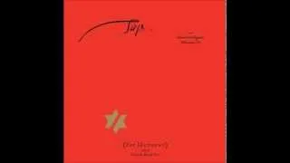 John Zorn & Pat Metheny - Tap: Book of Angels Vol.20 - Albim