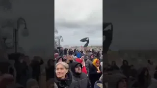 The Ukrainian flag remains in Berdiansk. Прогнали русских из Бердянска!