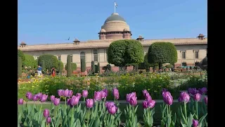 Mughal Gardens are open for the public