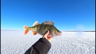 Поздний первый лёд. Рыбалка на 11 насосной (Павлодар)