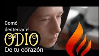 Como desterrar el odio de tu corazón