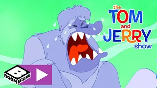 Tom und Jerry | Yeti-Alarm | Cartoonito