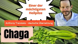 Chaga: Wirkungsvoller Heilpilz – Anthony William – deutsche Übersetzung