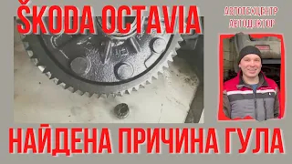 Škoda Octavia (Шкода Октавия).  Найдена причина гула.