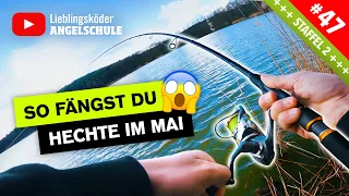 HECHTANGELN im Frühjahr - so fängst du vom UFER 🎣🔥👍🏼