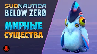 ВСЕ МИРНЫЕ СУЩЕСТВА Subnautica Below Zero