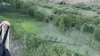 📍 Сегодня примерно в полдень в Рошткалинском районе в селении «Меденвед- Барвоз »