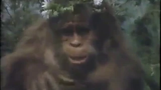 Harry And The Hendersons S01E14 Pet Physic