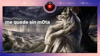 Porque debes leer El lobo estepario