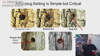 Combating the Spotted Lanternfly with Trent Dicks Webinar - TreeStuff