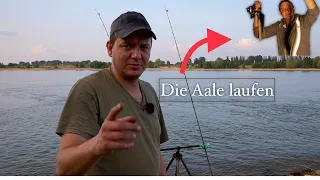 Die AALE laufen, AALangeln am großen FLUSS