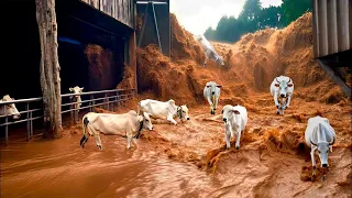 PIORES DESASTRES NATURAIS JÁ REGISTRADOS EM FAZENDAS NA HISTÓRIA