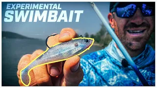 Overlooked Shad-Imitating Swimbait for Tough Bass