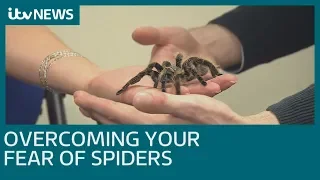 How do you overcome a fear of spiders? | ITV News