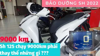 Honda Sh 2022 chạy 9000km. Sh 125 chạy 9000km thay thế bảo dưỡng gì? Kiểm tra định kỳ sh 2022.