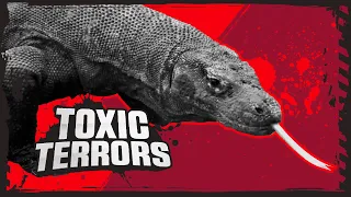 Komodo Dragon Vs Black Widow! | Deadly Animal Showdowns | BBC Earth Kids