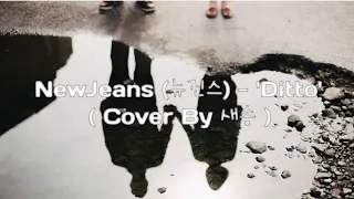 NewJeans (뉴진스) - 'Ditto' ( Cover By 새송 ) #ditto #newjeans #cover #saesong #lyrics #liriklagu