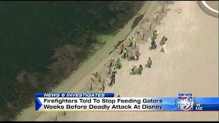 Firefighters told to stop feeding gators weeks before deadly disney attack