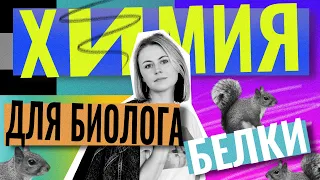 Химия для биолога. БЕЛКИ| ЕГЭ по биологии | Ксения Напольская | 100балльный репетитор