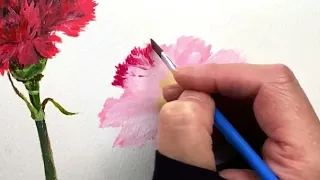 How to Paint/Draw Carnation Flowers / Easy Acrylic Painting Tutorial For Beginners Step By Step #491