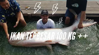 Nangkep IKAN RAKSASA 100 KG !!!@ Bung Pla Buk Fishing Park, Thailand - Fishing Vlog: #3