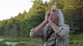 Algonquin Park Wolf Howl with Michael Runtz