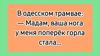 Одесские фразы! 😁 Еврейский юмор. Лучшие смешные короткие еврейские анекдоты из Одессы.