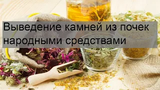 Выведение камней из почек народными средствами