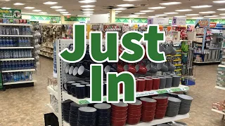 Dollar Tree 2024 | NEW Finds This Week😮😮😮