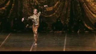 Nureyev et Raymonda - Wilfried Romoli