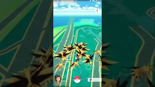 surprise! zapdos nest found #shorts #zapdos #ultragoo #legendary #gotcha