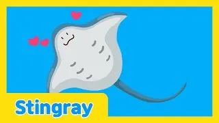 The Underwater Talent Show🐠| Stingray | Kids Educational Video | Learn With Lotty Friends