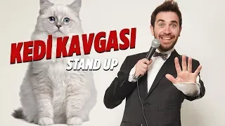 Kedi Kavgası | Denizhan Haznedar