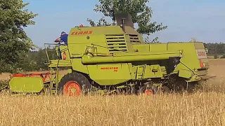 Żniwa CLAAS MERCATOR 75 || Szybki wjazd || Engine sound