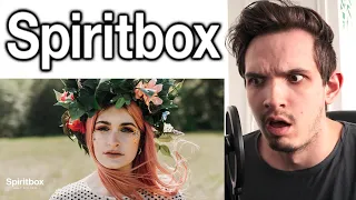 Metal Musician Reacts to Spiritbox | Holy Roller |