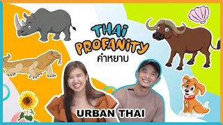 URBAN THAI - Episode 3- THAI PROFANITY (With English Subtitles)