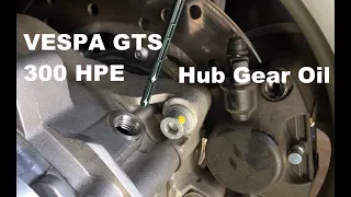 Hub Gear Oil Change - 2021 VEPSA 300 GTS HPE