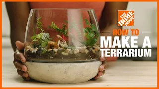 How to Make a Terrarium | The Home Depot