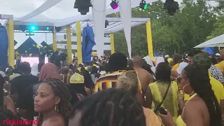 dream weekend negril jamaica morning after yellow &white party short clip