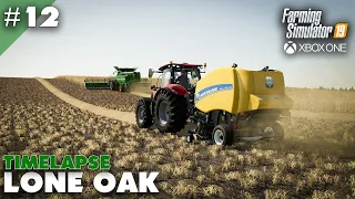 Lone Oak Timelapse #12 Harvesting Wheat & Baling Straw, Farming Simulator 19 XBox One X