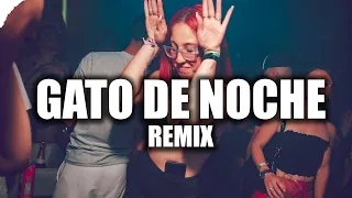 GATO DE NOCHE (REMIX) BAD BUNNY, NENGO FLOW ✘ LUMIIX DJ