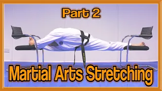 Martial Arts Stretching Part 2 (Get High Kicks/Splits) | GNT Tutorial